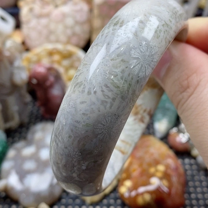 硅化珊瑚（珊瑚玉）颈饰未镶嵌59有瑕