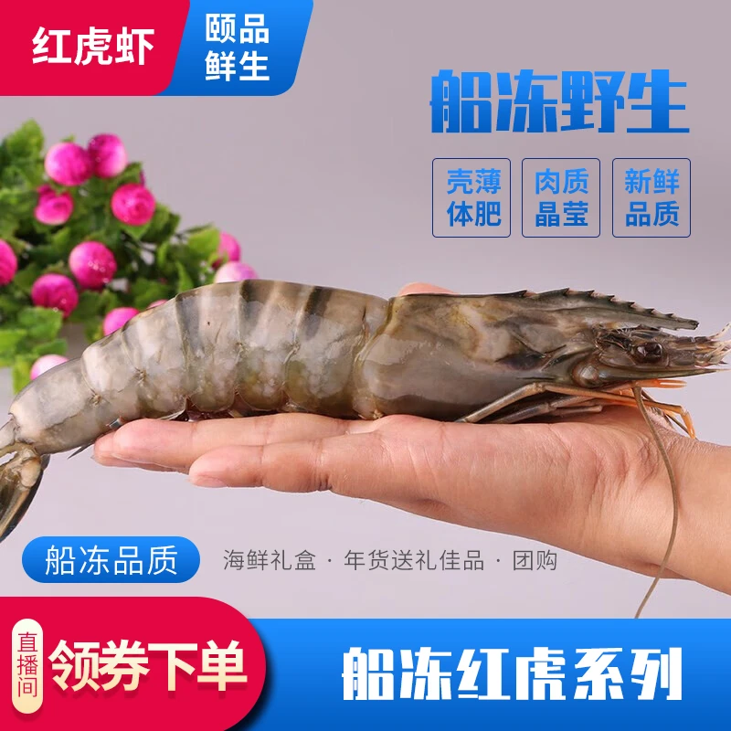 海虎虾 海捕船冻虎虾 920g/盒生鲜冷冻年货送礼精选红虎虾黑虎虾Z