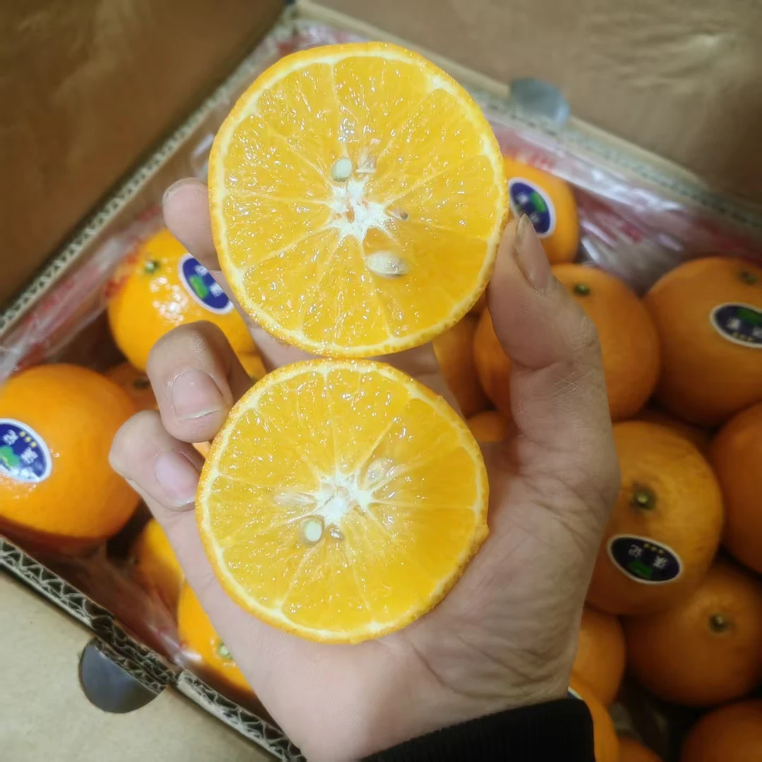 【只发新疆】正宗广西皇帝柑纯甜皮薄多汁礼盒直发