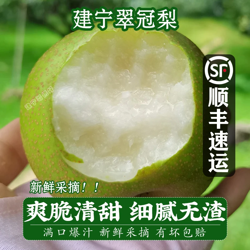 【顺丰】25年新鲜建宁翠冠梨青皮脆甜多汁细腻无渣非黄花梨5/10斤