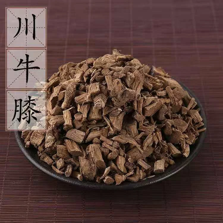牛膝川牛膝土牛夕牛膝草牛膝段