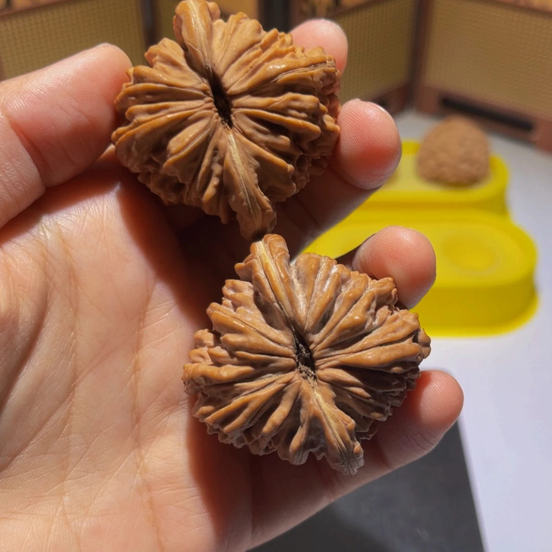 核桃45全品四座楼