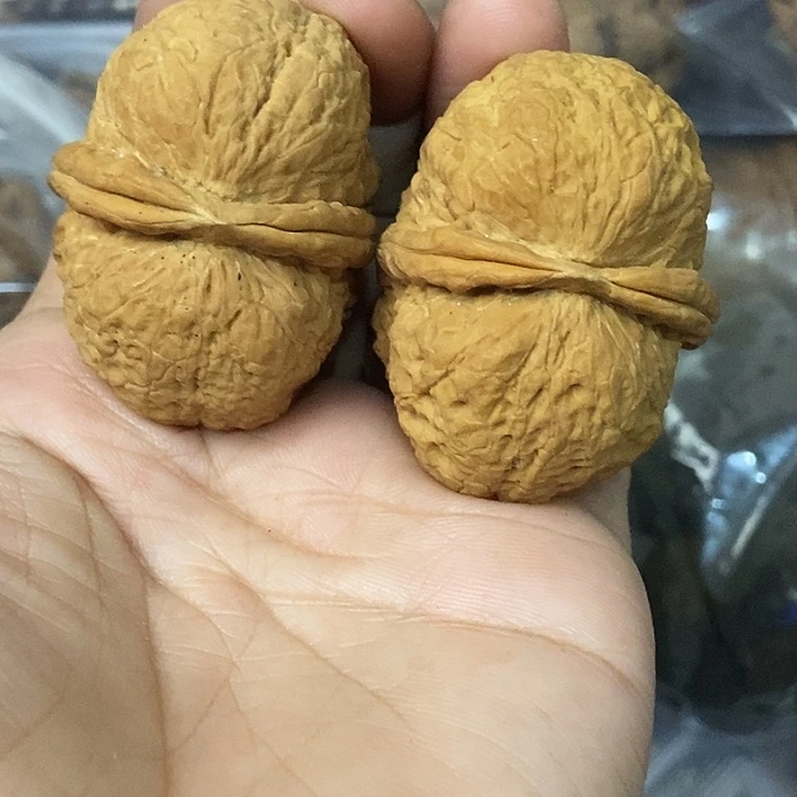 把件文玩核桃云南铁核桃基地17
