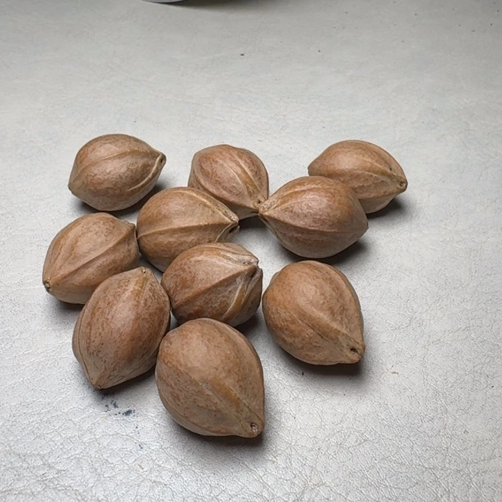 阿***J手串/手链橄榄核橄榄核2.1