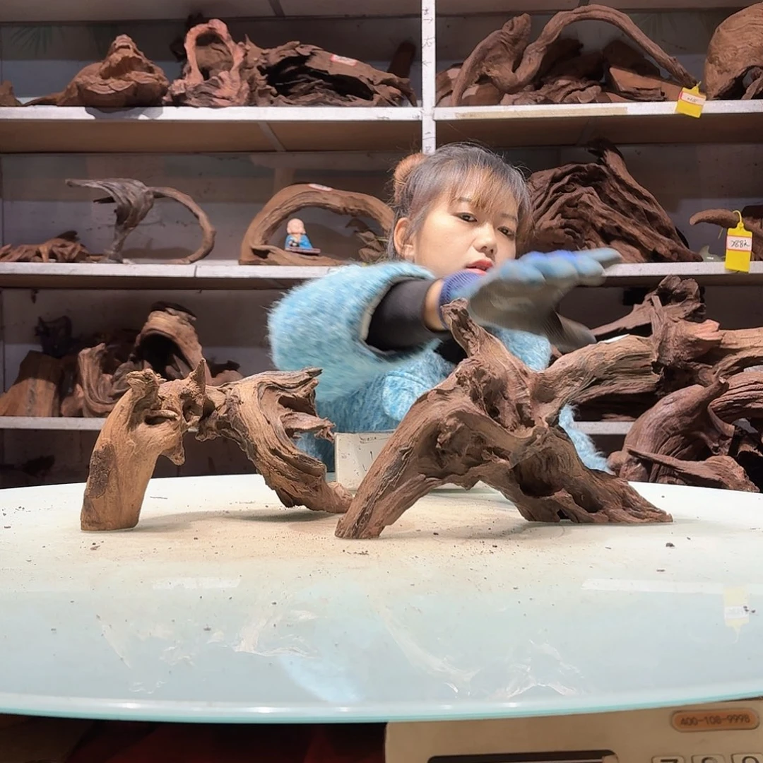 倍褚沉木，不包损必褪色鱼****景6210-2