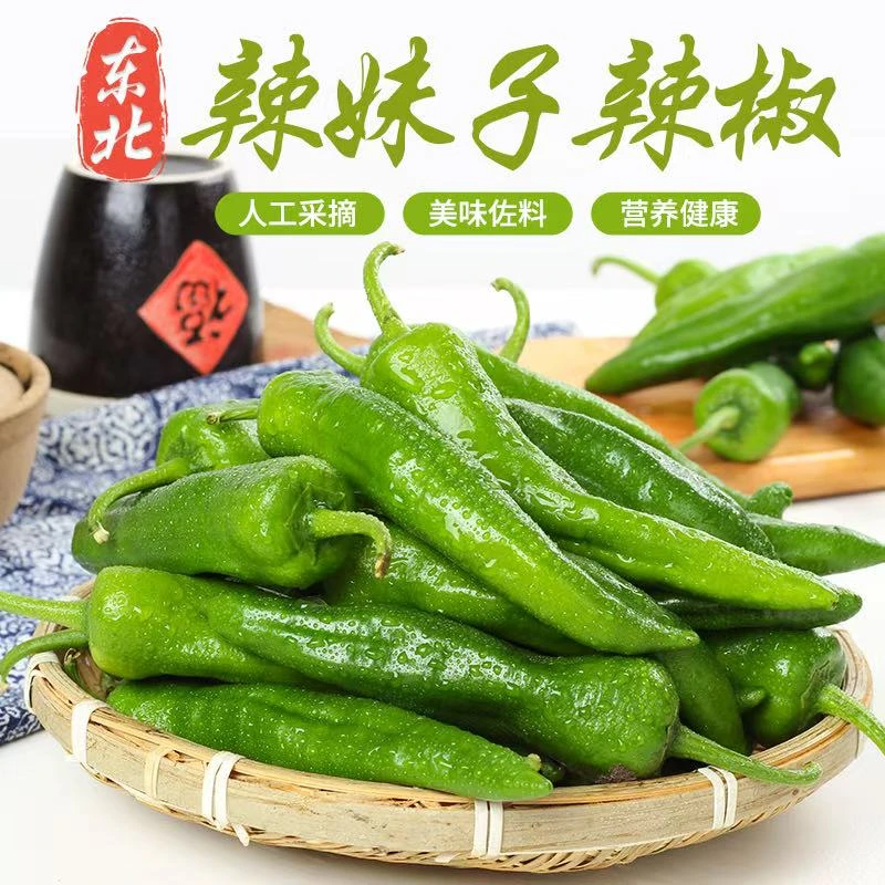 东北农家辣椒 新鲜翠绿 皮薄清脆 炒肉凉拌皆宜
