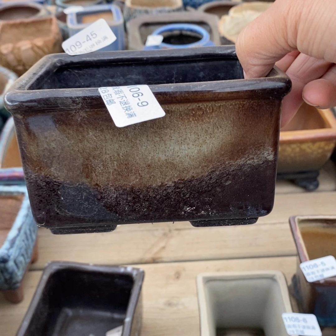 9号多肉盆口径11高8