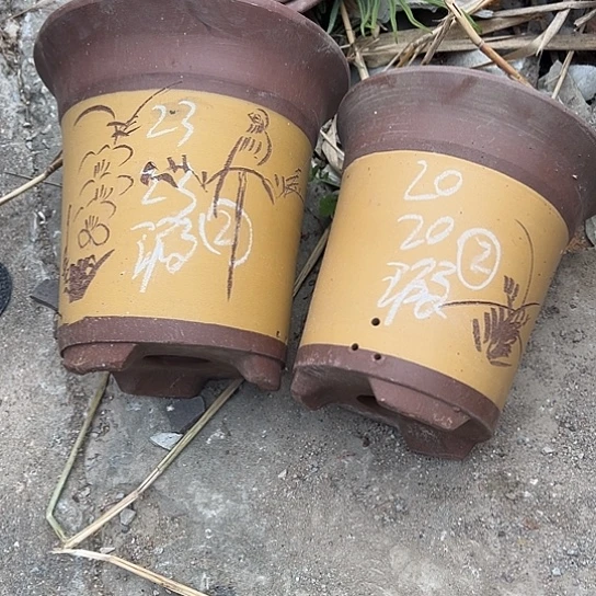 紫砂工艺厂……紫砂工艺厂……