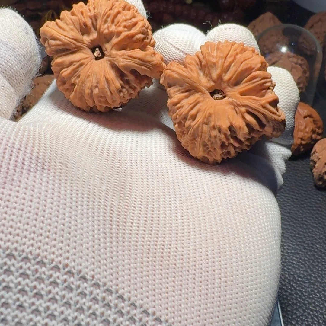 岭***记文玩核桃吊坠黄金甲