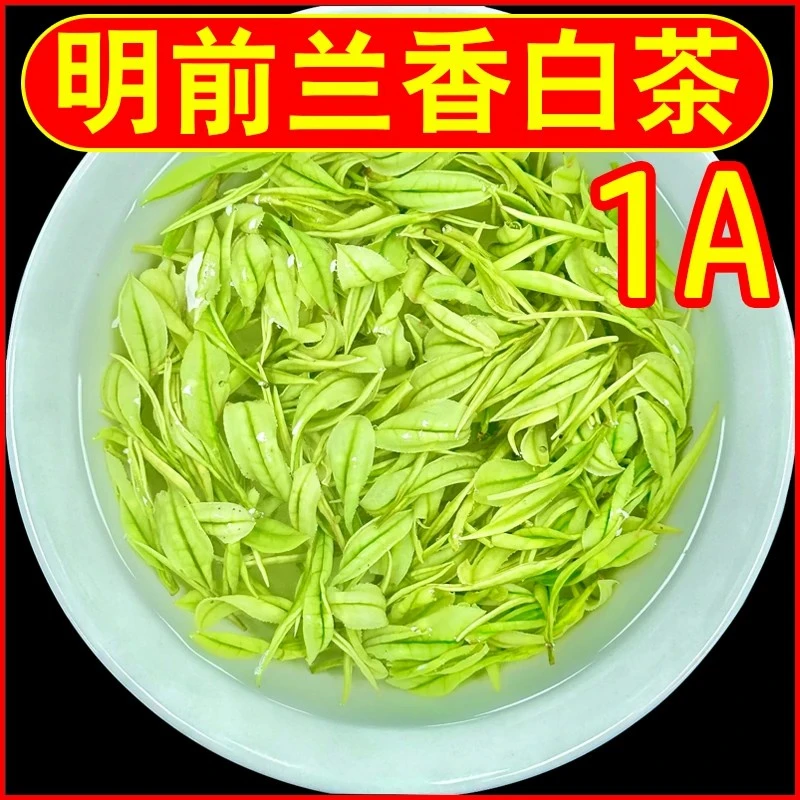2025新茶【1A】明前高山白茶茶叶珍稀白茶花香浓香罐装礼盒装