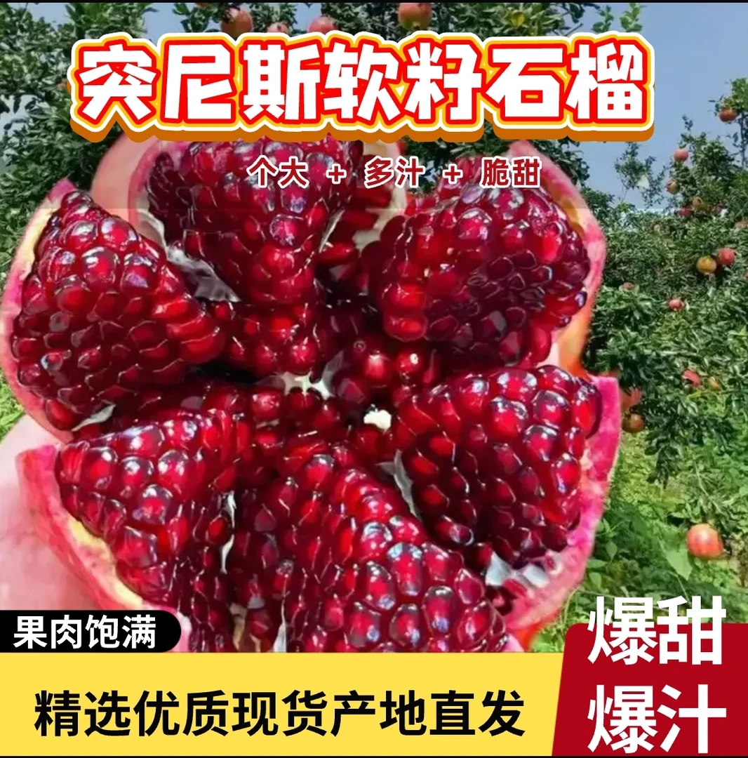 【坏果包赔】正宗四川会理突尼斯软籽石榴新鲜当季水果鲜甜多汁包邮