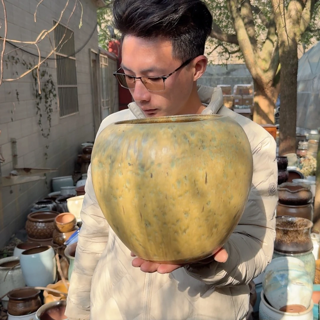 紫砂花盆球黄色一个