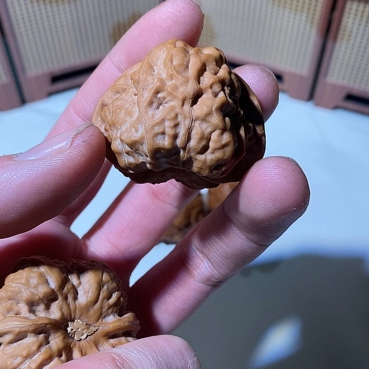 郭***万精品文玩核桃蛤蟆头