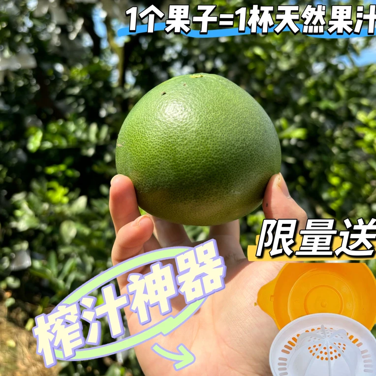 【莫哥专属】正宗平和翡翠葡萄柚现采现发九甜一酸孕妇水果