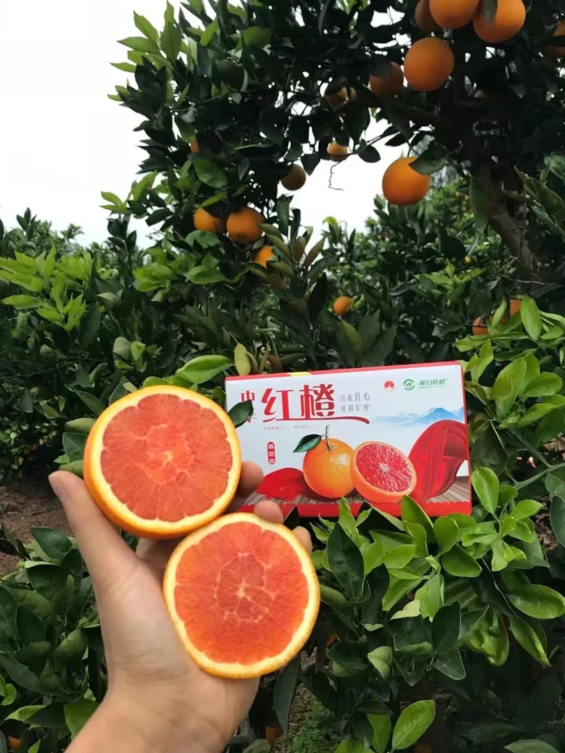秭归中华红血橙红心橙新鲜水果皮薄多汁甜橙孕妇适宜