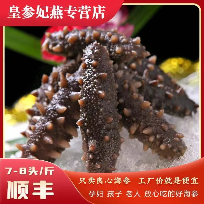 大连即食海参营养滋补化冻食用适合