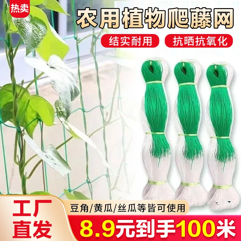 园艺爬藤网 农业种植爬藤架 藤类花草山药网豆角网黄瓜种植支架网