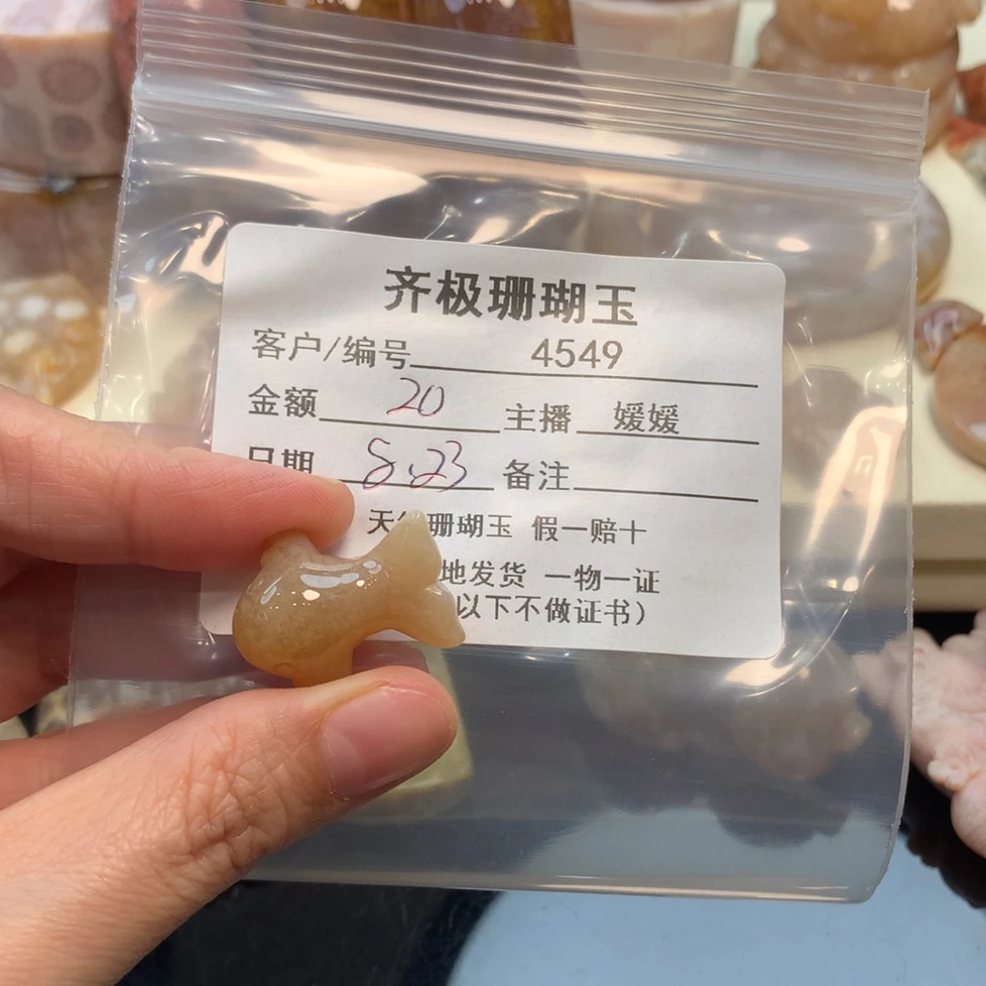 颈饰未镶嵌硅化珊瑚（珊瑚玉）阳**粒