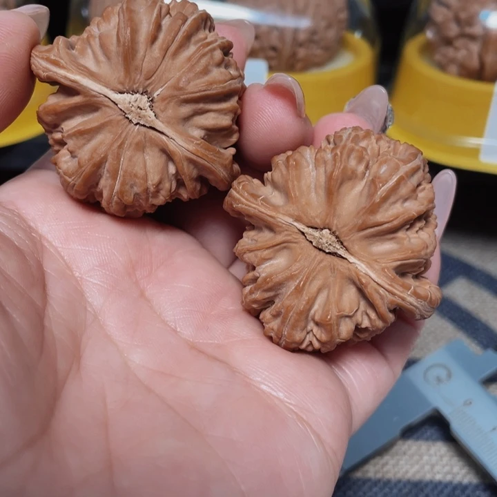 文玩核桃把件没****圣白狮子43