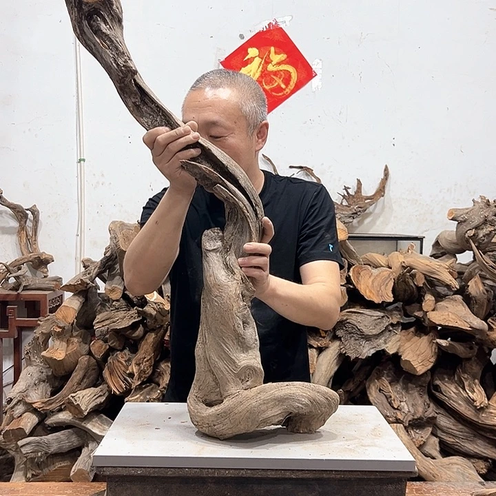 柏木好**钱我们的生活是以自己为