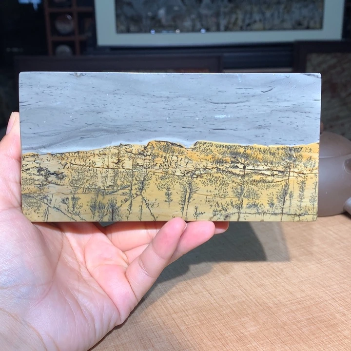 ，广西国画石摆件，收藏观赏