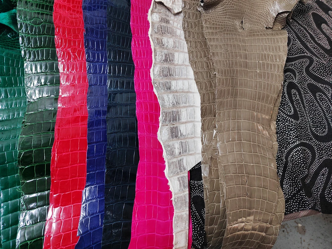 鳄鱼鸵鸟稀有动物皮