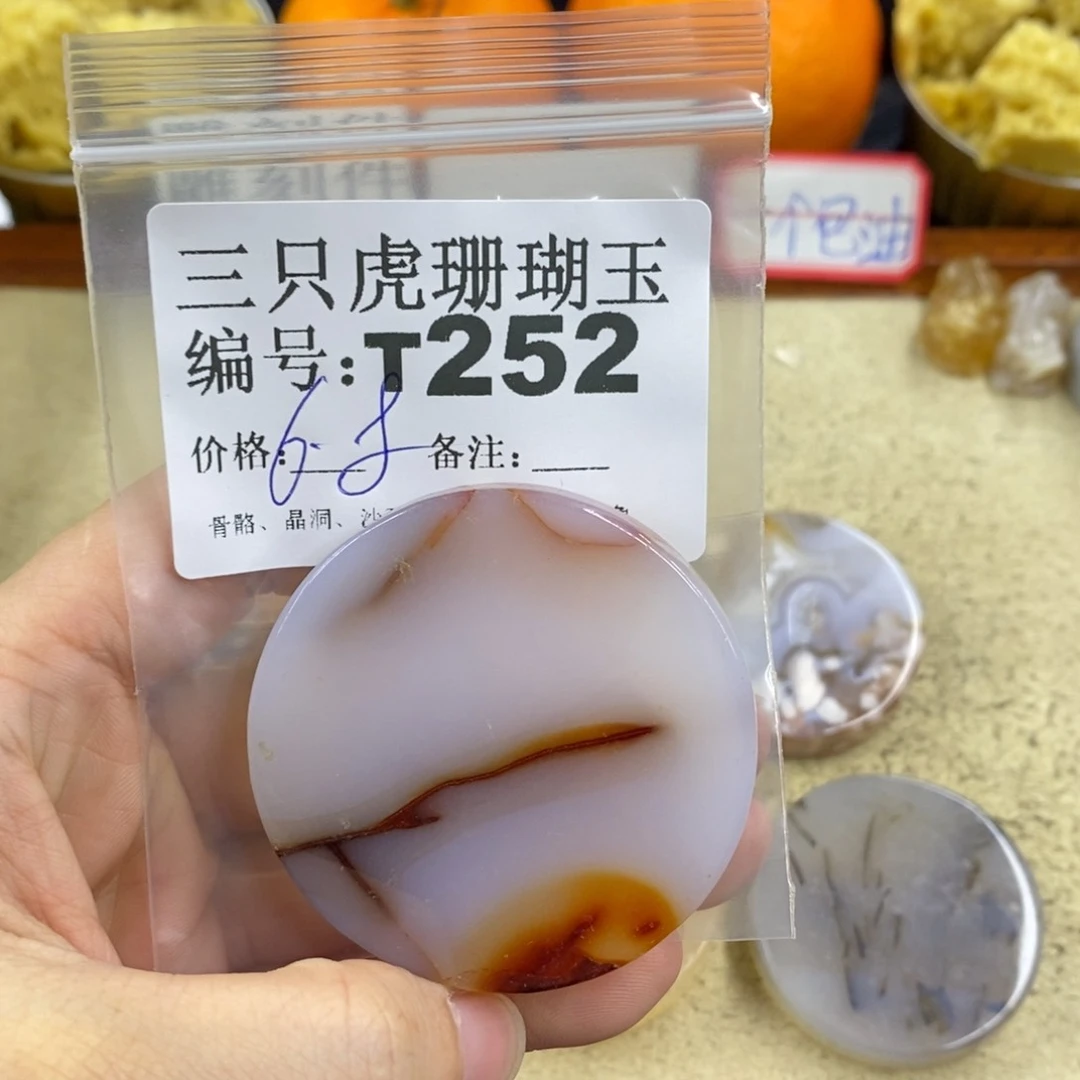 硅化珊瑚（珊瑚玉）1未镶嵌丁*