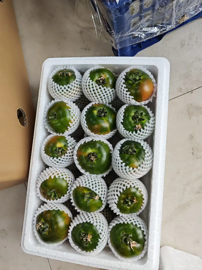 酸甜好吃盘锦碱地柿子果园现摘顺丰包邮每人限两单