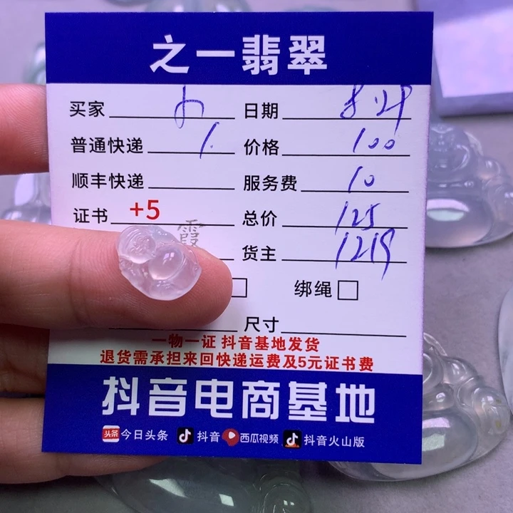 颈饰未镶嵌翡翠小*菜