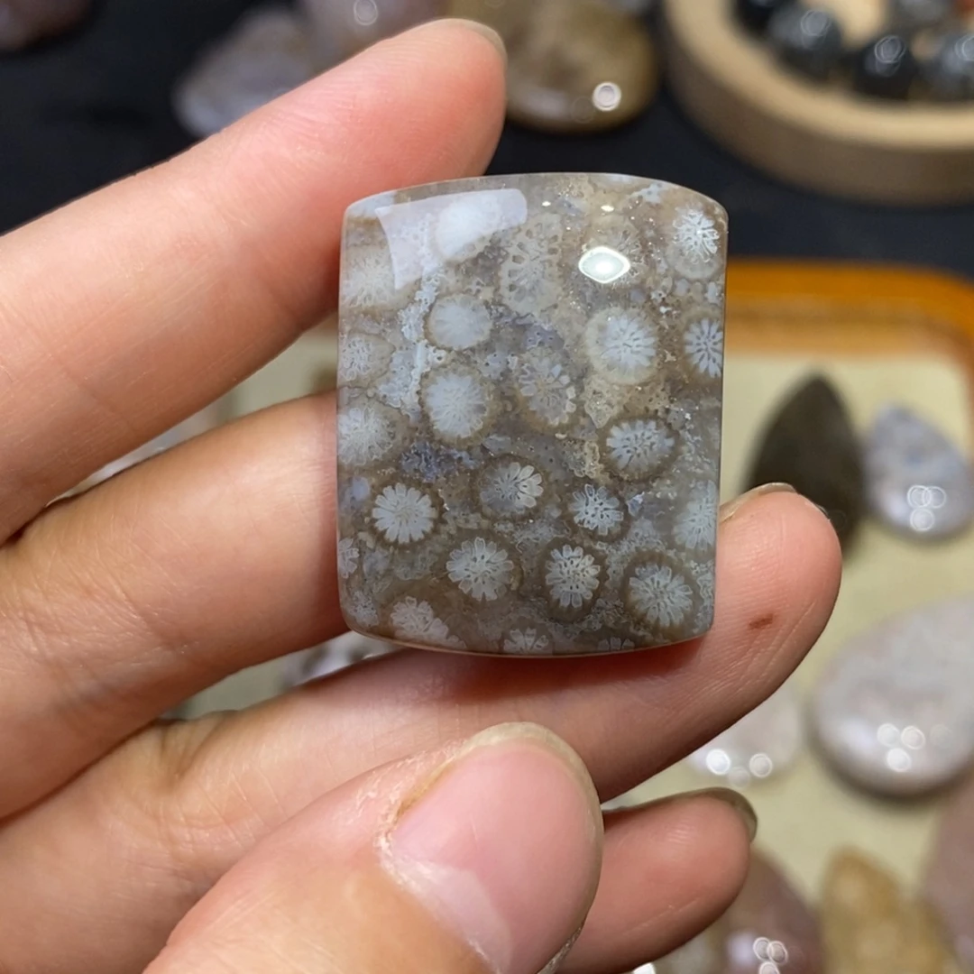 【闪购商品】硅化玉珊瑚玉未镶嵌