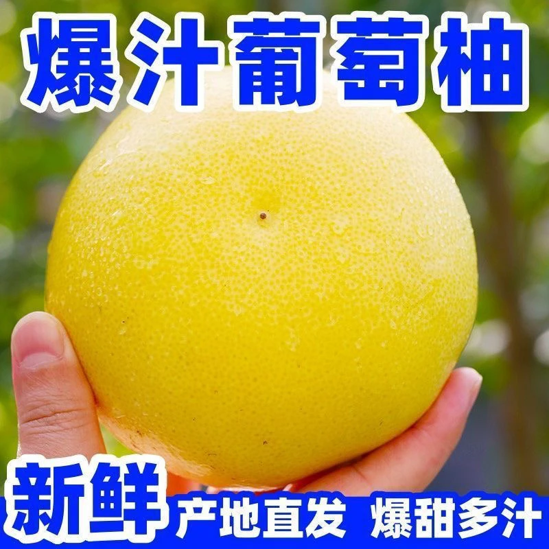 5斤贵州本地葡萄柚酸甜薄皮多汁当季新果当天采摘