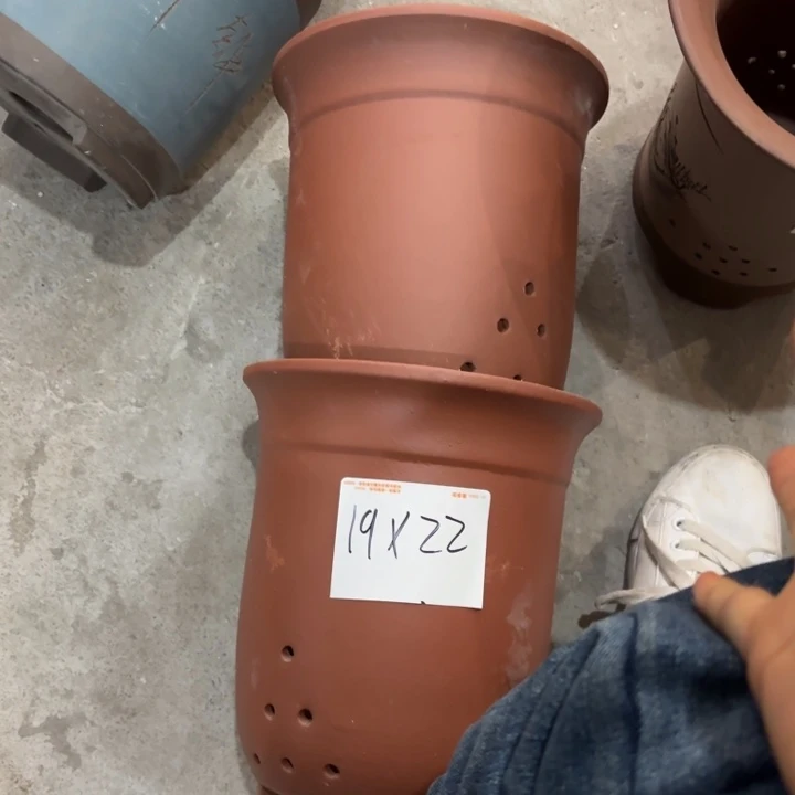 花盆紫砂紫砂的花