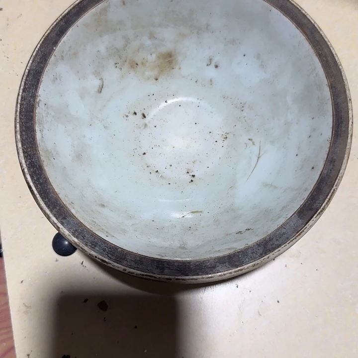 北***林香榧木gughbhvhbbvb