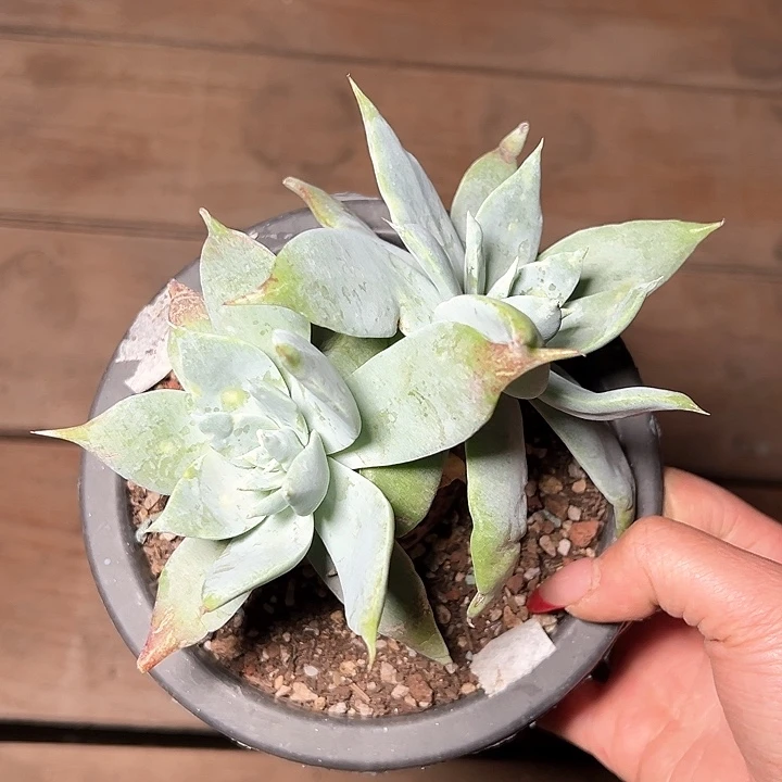 792哈哈哈哈哈哈哈哈