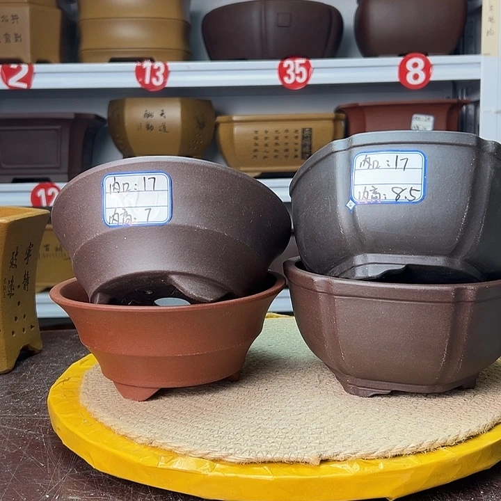 紫砂花盆蛇年大吉