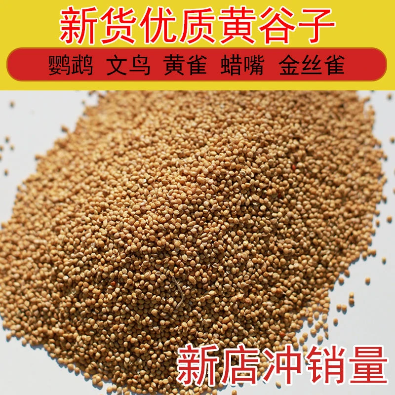 黄谷子2024年新货鹦鹉百灵云雀文鸟黄雀金丝雀专用鸟粮