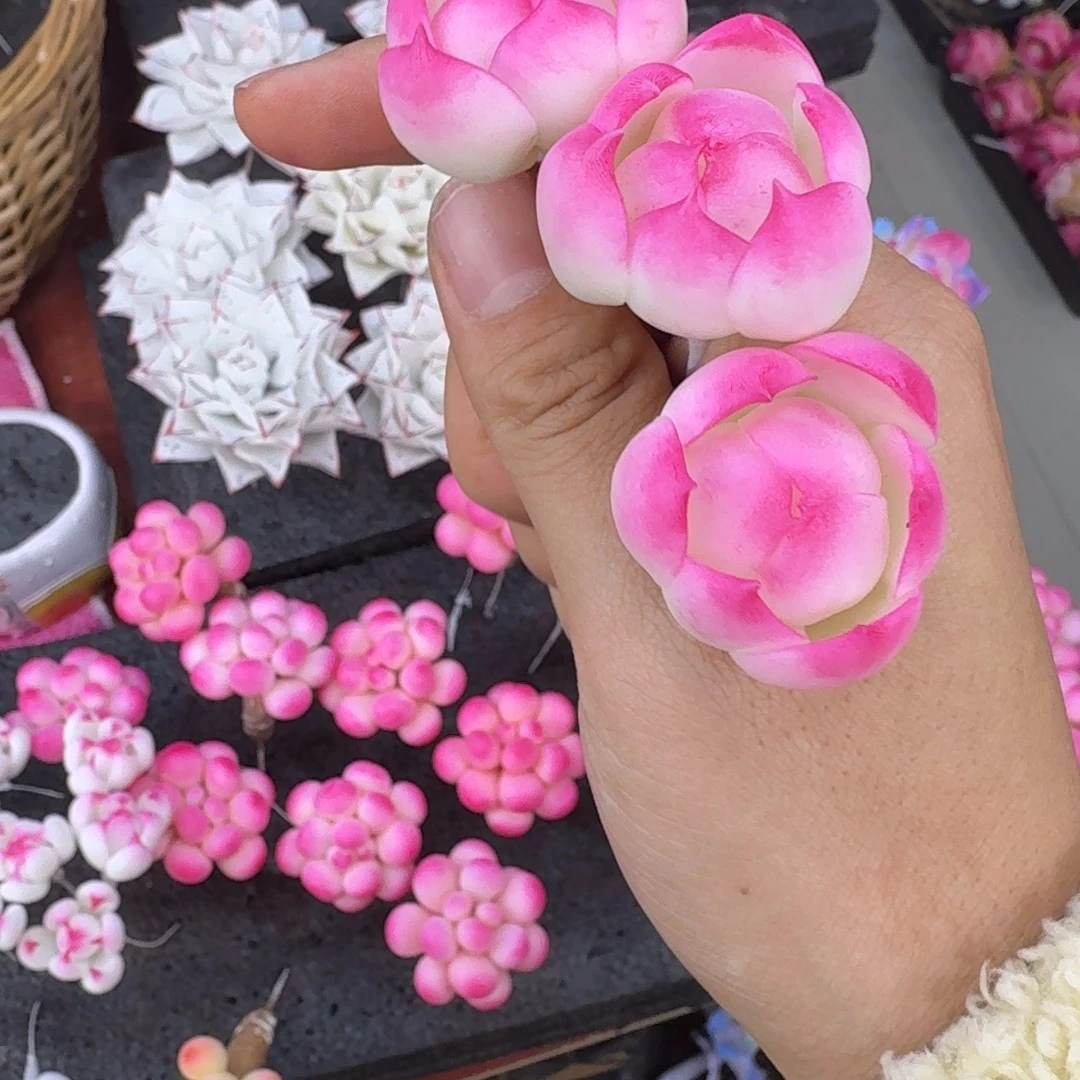 树脂制品12号莫莫莫