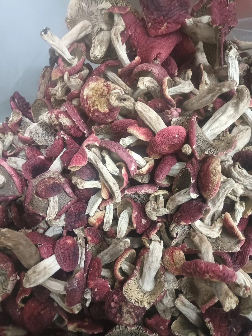 云南高山正宗野生大红菇红菇菌生产墨江生产对蚂蝗500G