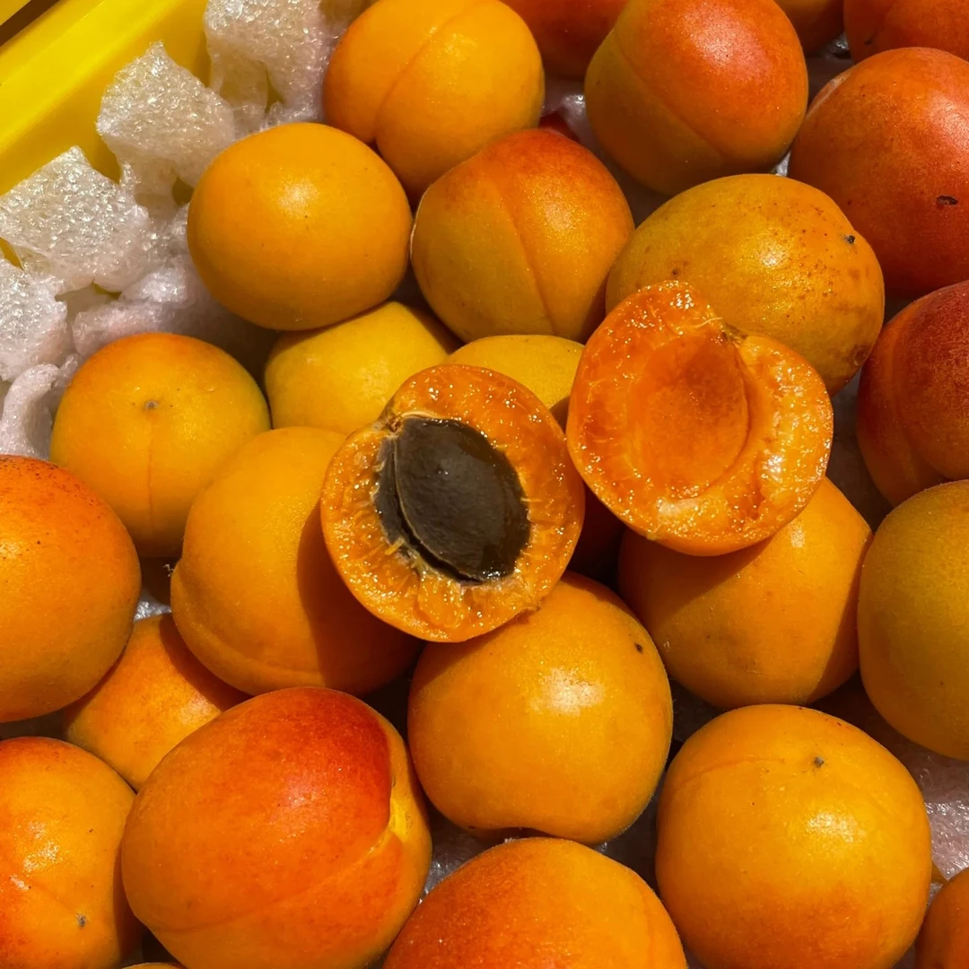 精品  新疆吊干杏/约500g