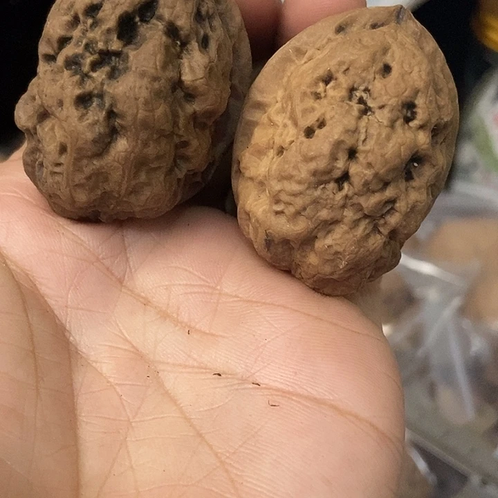 文玩核桃把件云南铁核桃基地98