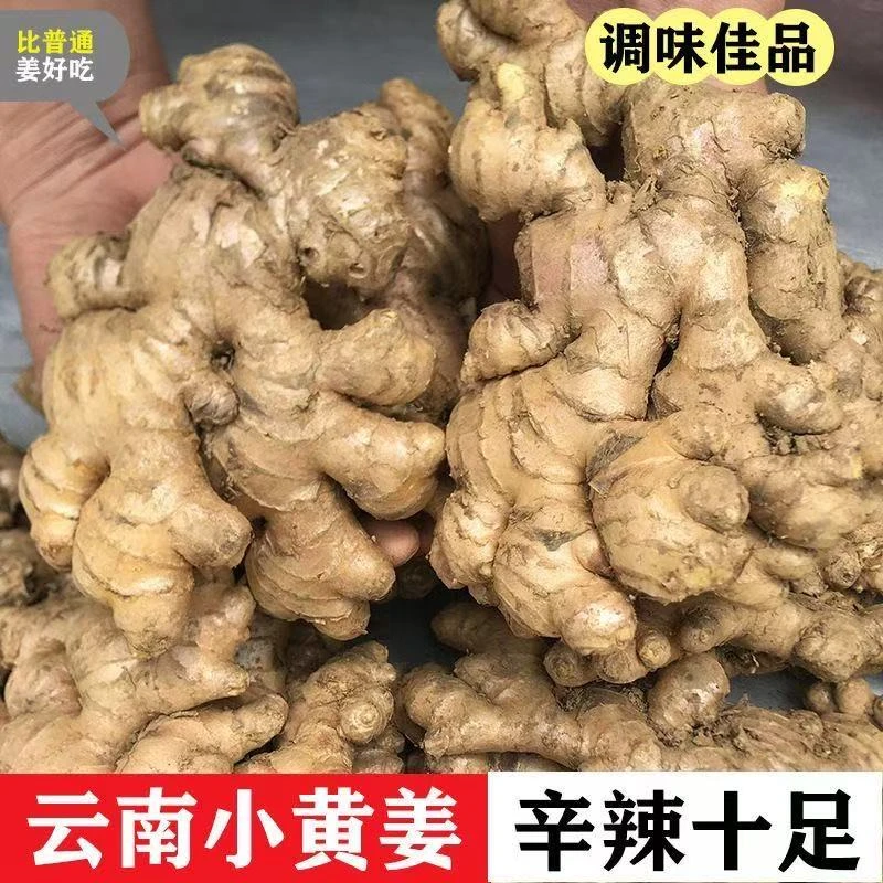 云南现挖小黄姜3斤5斤胡佬哥生鲜
