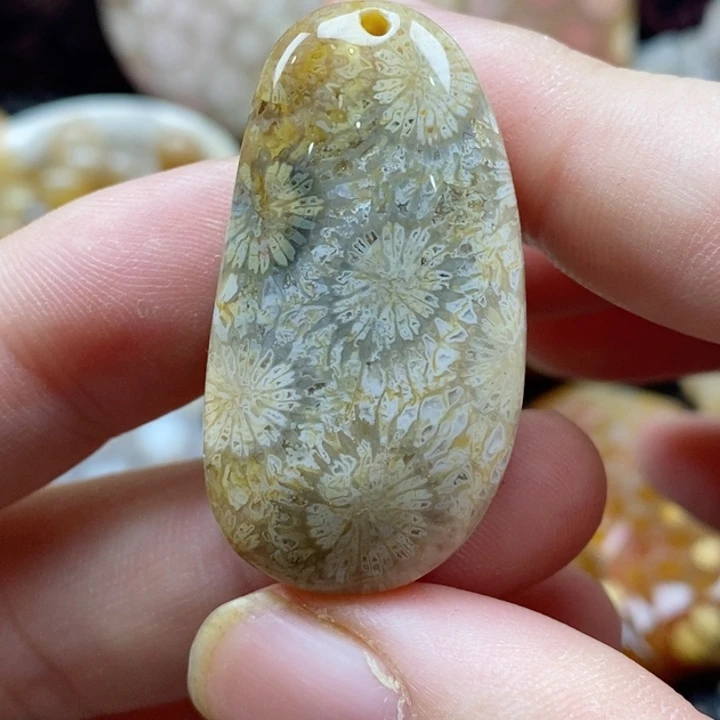 硅化珊瑚（珊瑚玉）颈饰未镶嵌