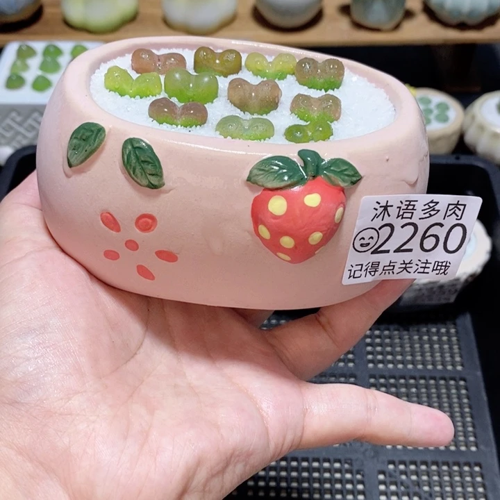 精美盆栽 一物一拍 2260