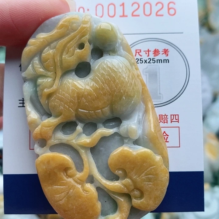 翡翠未镶嵌颈饰一