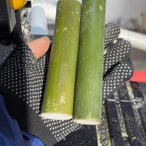 大***8实心竹竹竹竹竹竹竹竹竹竹