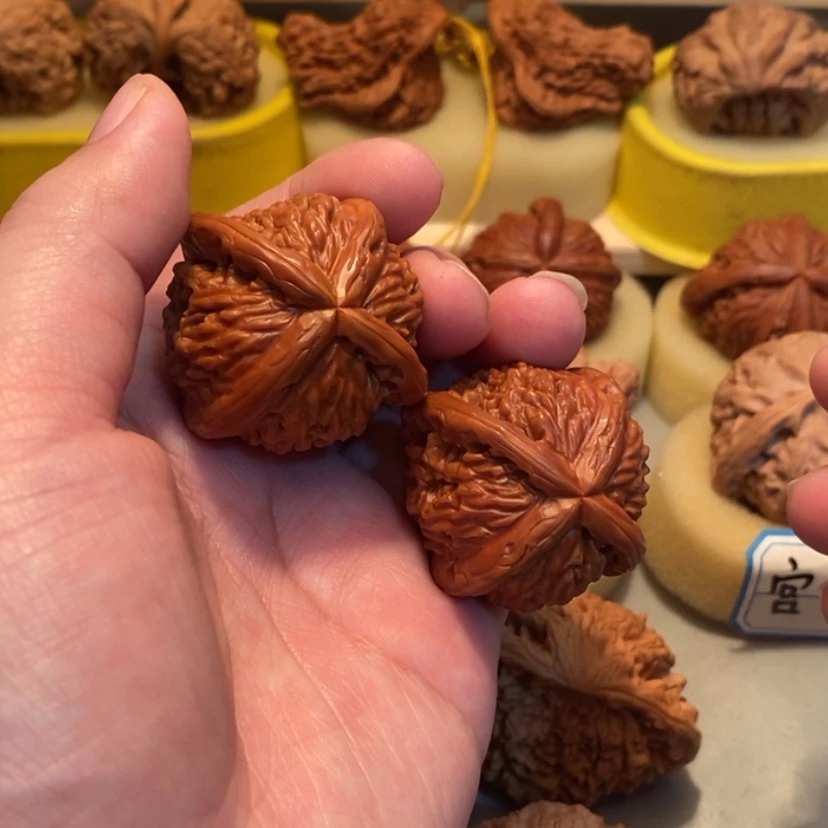 【闪购商品】M***鞏xcvbbbnnnn