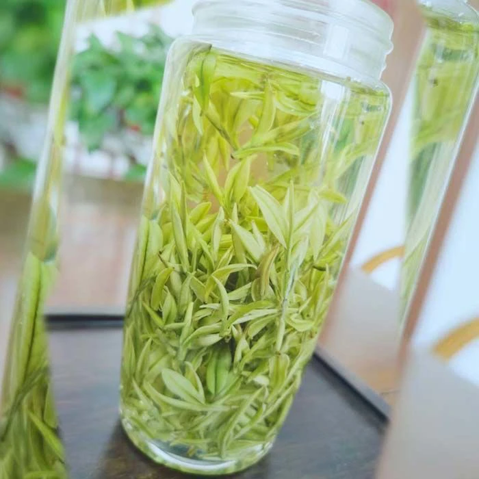 新茶白茶特白高山茶今年新茶2025年