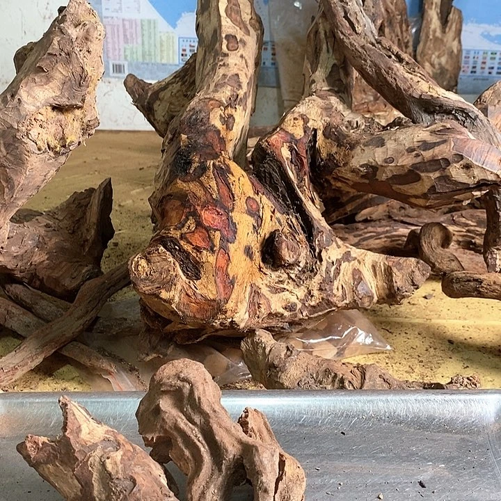 花梨木类天**勤海南花梨