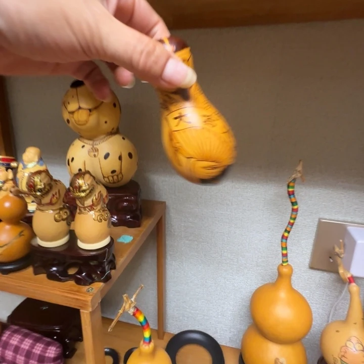 打***兽精品课程等课程教学的