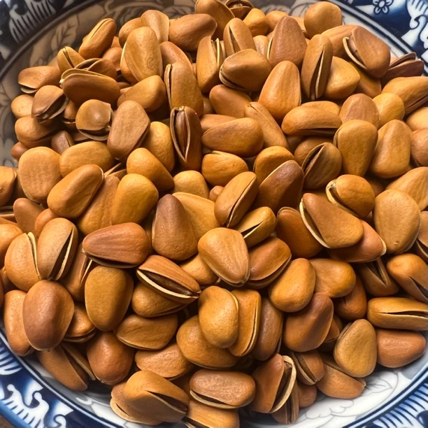 黑龙江宁安大颗粒松子一罐450克